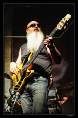 concert, blues, winklepickers