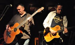 concert, blues, Nocna Zmiana Bluesa, Polish