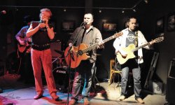 concert, blues, Nocna Zmiana Bluesa, Polish