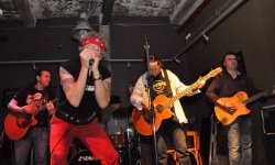 concert, blues, Nocna Zmiana Bluesa, Polish