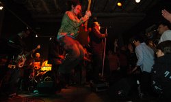 concert, rock, T.Love, Polish