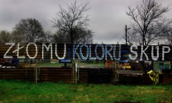 expo, photography, Poland, Wojciech Gepner, Polish