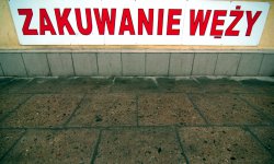 expo, photography, Poland, Wojciech Gepner, Polish
