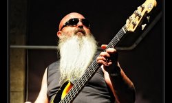 concert, blues, winklepickers