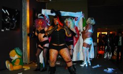 cabaret, Mi Cuit, carnival, spectacle
