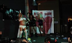 cabaret, Mi Cuit, carnival, spectacle