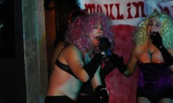cabaret, Mi Cuit, carnival, spectacle