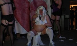 cabaret, Mi Cuit, carnival, spectacle