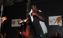 concert, jazz, Meander, Mathias Borgmann