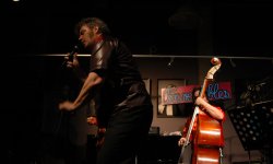 concert, rock and roll, The Convertibles