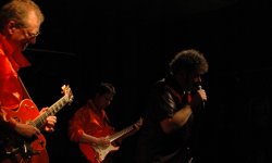 concert, rock and roll, The Convertibles