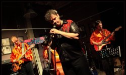 concert, rock and roll, The Convertibles