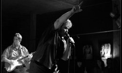concert, rock and roll, The Convertibles