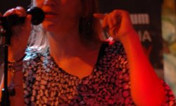 concert, blues, Polish, Werbińska, Pawlina, Poland