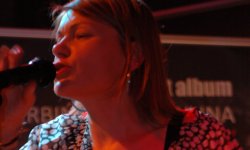 concert, blues, Polish, Werbińska, Pawlina, Poland