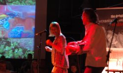 concert, blues, Polish, Werbińska, Pawlina, Poland