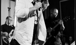 concert, pop, Daniel & Friends